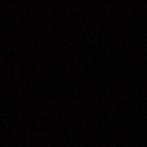 Meet your Posher, Precious